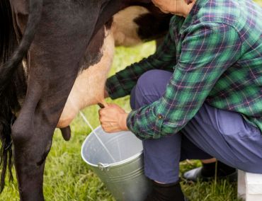 gwala-about-us-farmer
